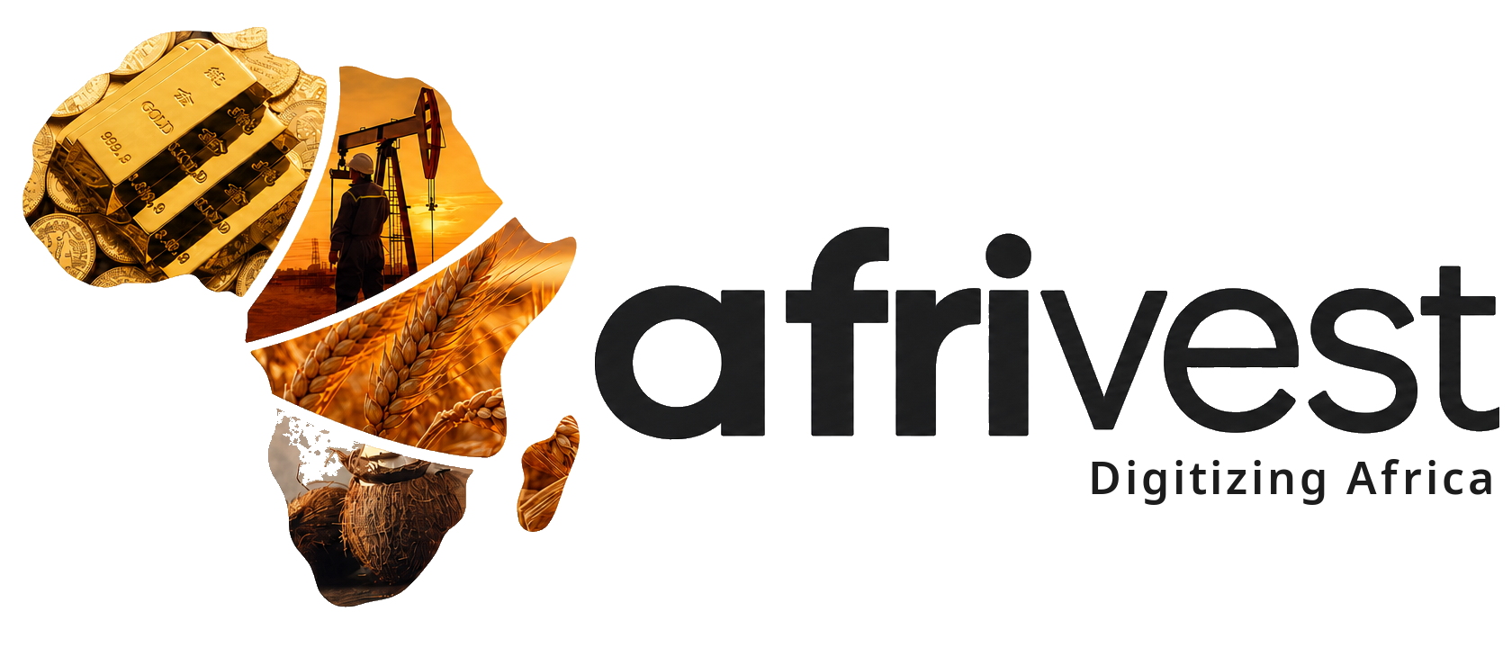 AfriVest, Digitizing Africa